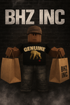 BHZ INC