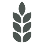 Daily Islands
