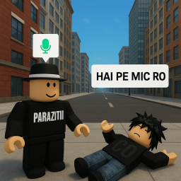 Ro Mic