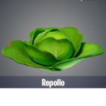 Secta del repollo