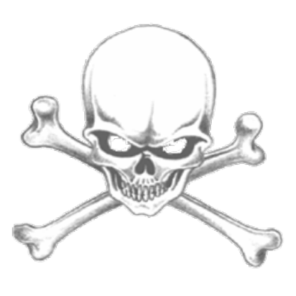 Skull transparent Roblox decal