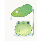Frogy!