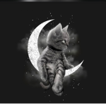 DreamCats