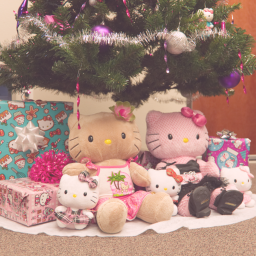 🎀🎄 /ᐠ. ｡.ᐟ\ᵐᵉᵒʷˎˊ˗