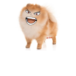 DOGGGGGGGGGGGGGGGGGGGGGGGGGGGGGGGGGGGGGGGGGGGGGGS