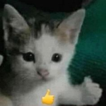 AndresGT