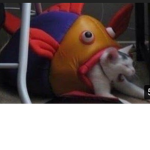 Get no scoped nub