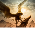 team griffon