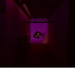 Silence From Doors