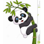 #The Panda Group