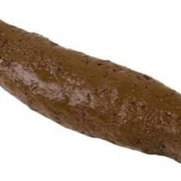 Poopy land icon
