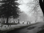 wintergravesツ