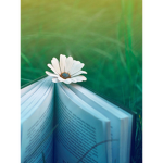 I giveaway robux/talk about games