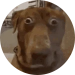 25x Race Rank multiplier