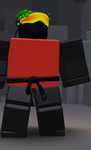 Midgamess
