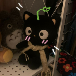 The cutest bunny