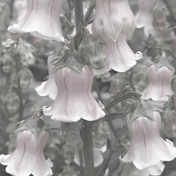 🧸🌸🦢