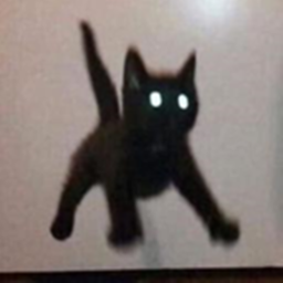 cat army play