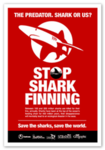 SHARK SAVERS!!!!!!!!!! STOP SHARK FINNING!!!!
