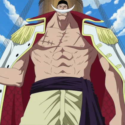 one piece Roblox decal