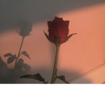 ItsLibertyRose