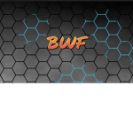 Bronx Wrestling Federation
