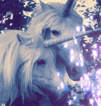 The amazing United unicorns