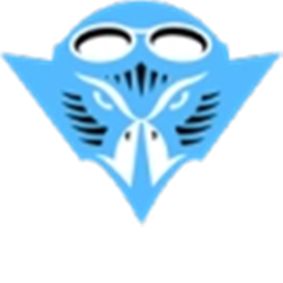Skyhawks RCFA