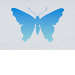 -The-Blue-Butterfly’s-