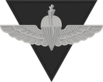 Special Purpose Force
