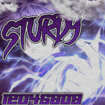 STURDY'