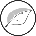 The Silver Blade