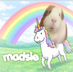 madsie
