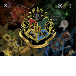 Harry Potter hoomans