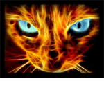 The Cool People =D   =D Coolio!!