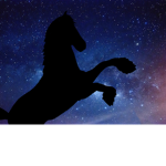 ||Starlight Riding Academy||
