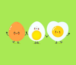 Egg N Friends Clothing line