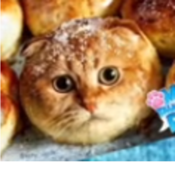 cool pvp place for friends!!