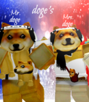 Mr doge & Mrs doge Playz