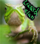 Lizard..clan..