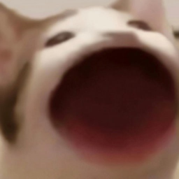 냥이부대(V1)