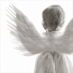 Poxyangels