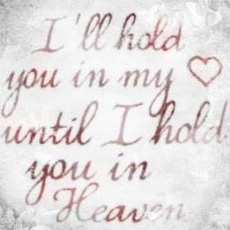 ❤︎