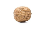 SUPER NUT.jpg studio