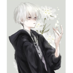 NMarkShop