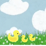 Duck squad OG