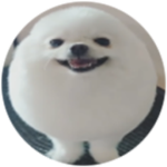 egg dog army cuz idk