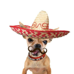Mexicans but anyone can join