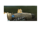 The Doge army aka much WOW