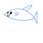 Fish carrot